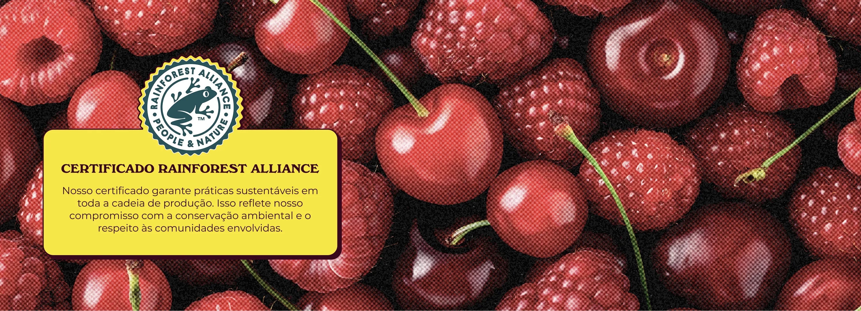 custom-slideshow-image-desktop-block_6k43i3